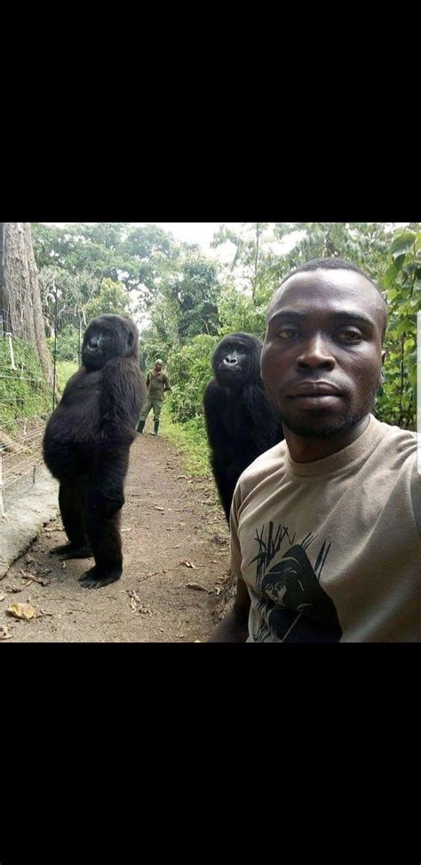 hardest picture of all time